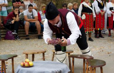 Фотография