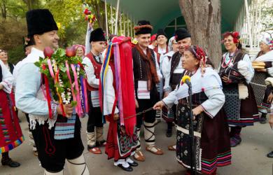 Фотография